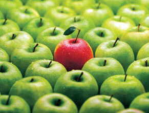 Unterscheidungsmerkmal roter Apfel un einer Kiste mit grünen Äpfeln